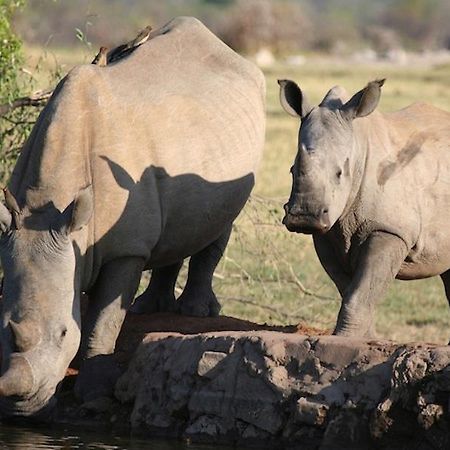 Jamala Madikwe Royal Safari Lodge Mochudi Екстер'єр фото